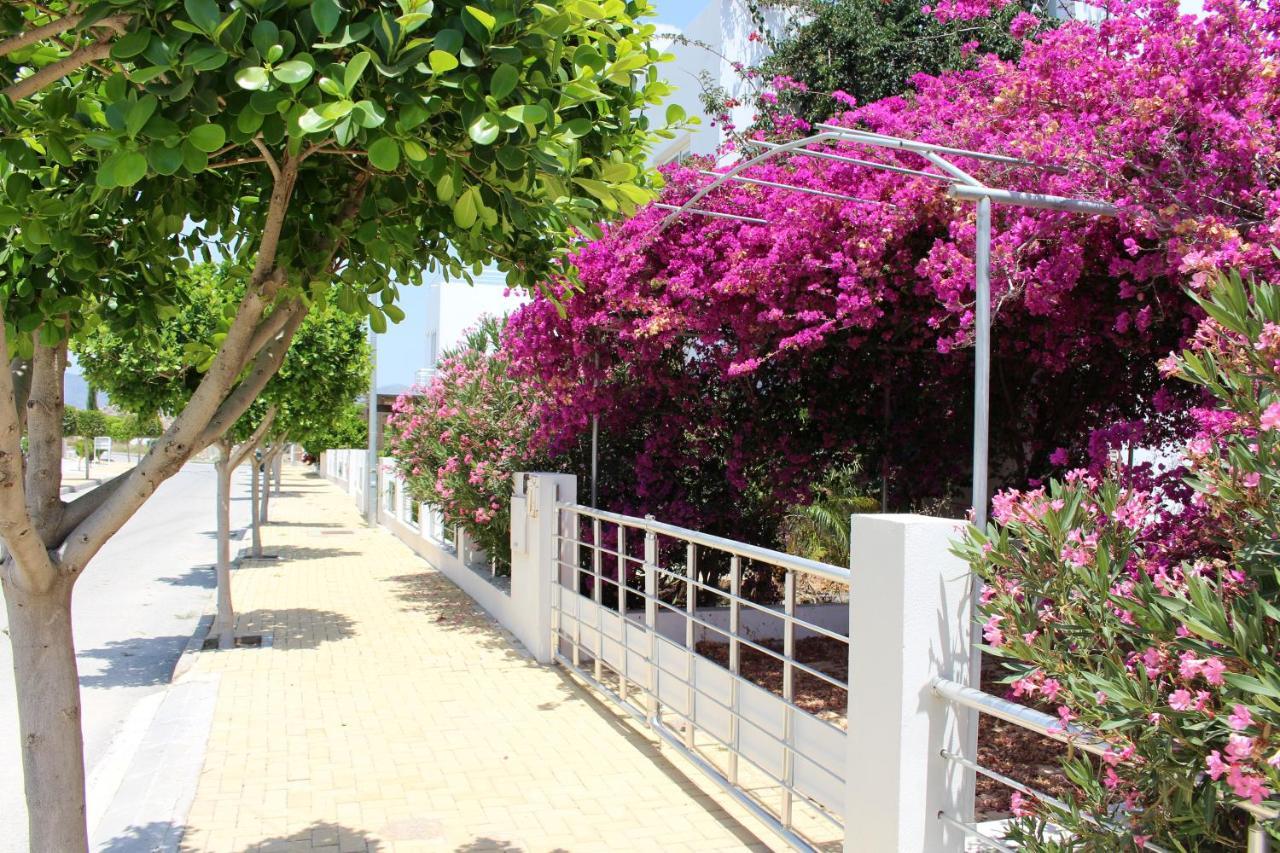 Caesar Beach Villas And Apartments Gastria Exterior photo