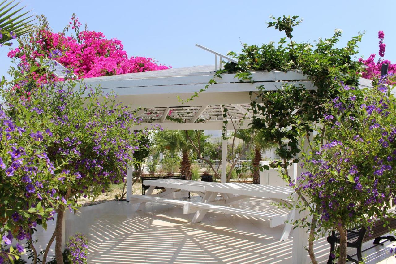 Caesar Beach Villas And Apartments Gastria Exterior photo